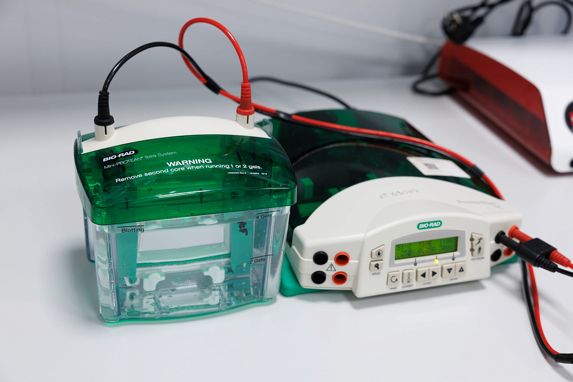 Камеры для вертикального электрофорезаMini-PROTEANTetraCell, Bio-Rad